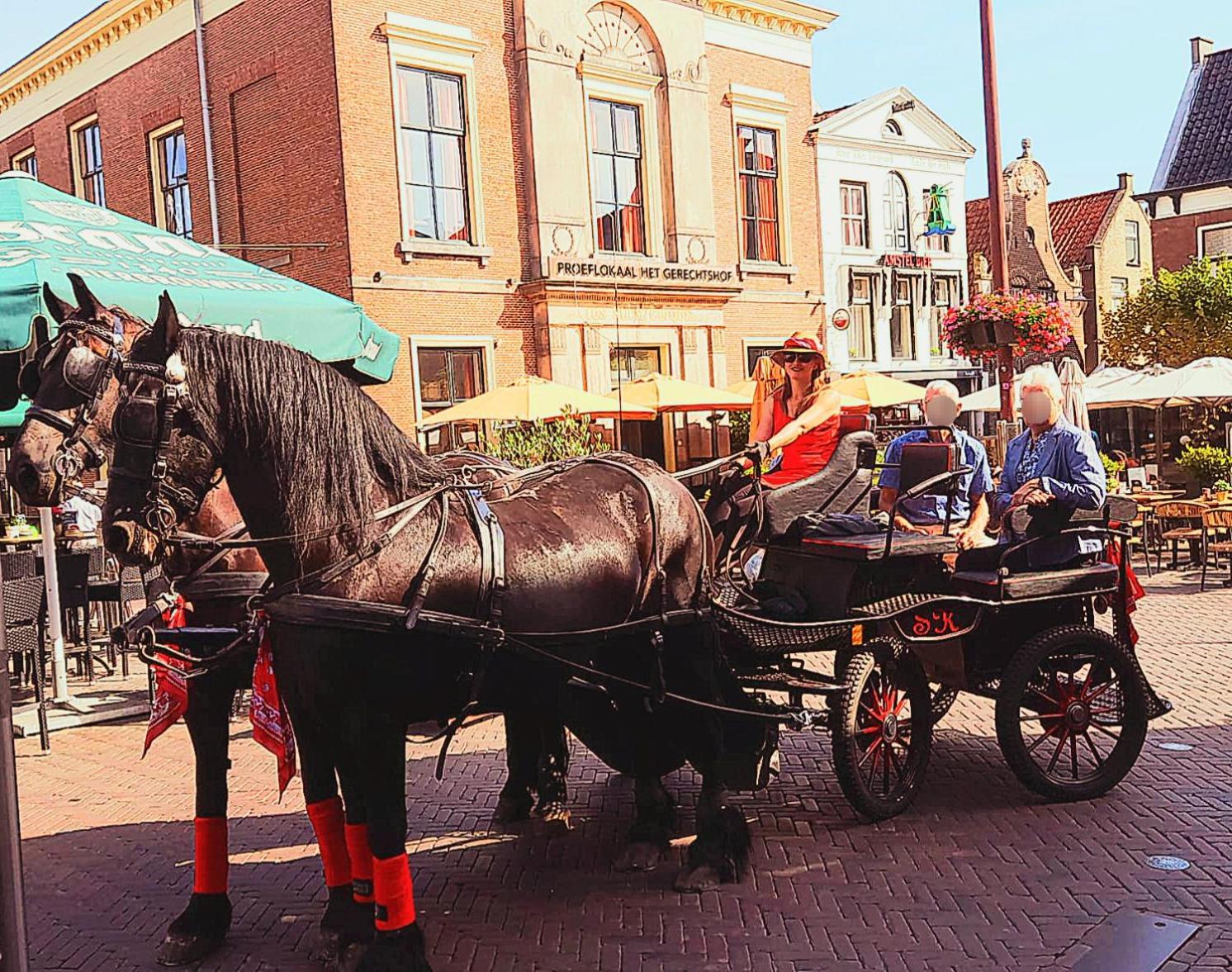 Stacaravan Op De Paardenboerderij Sneek Bagian luar foto
